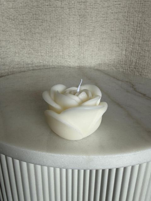 Rose Bloom